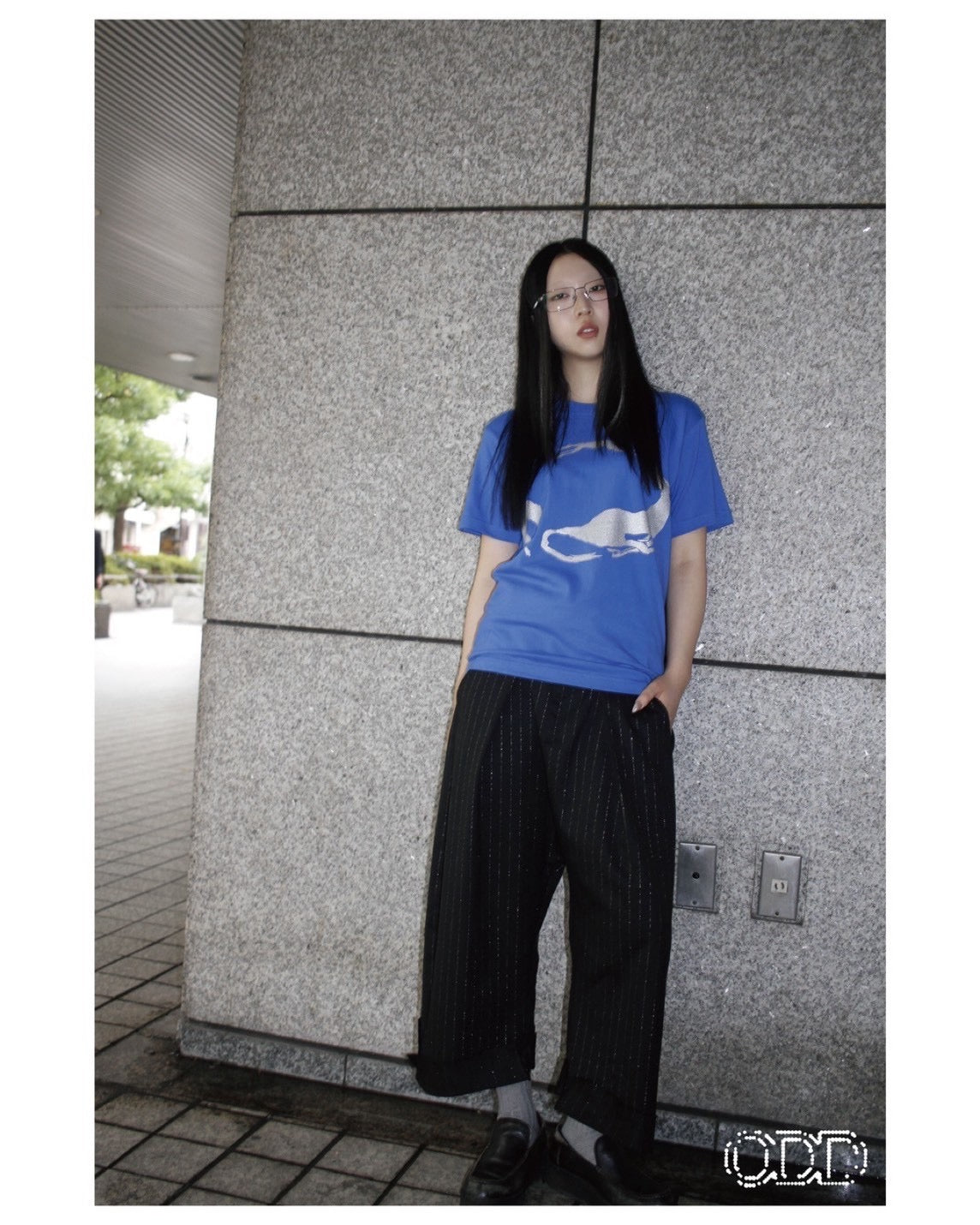 Circle Dogs Tee