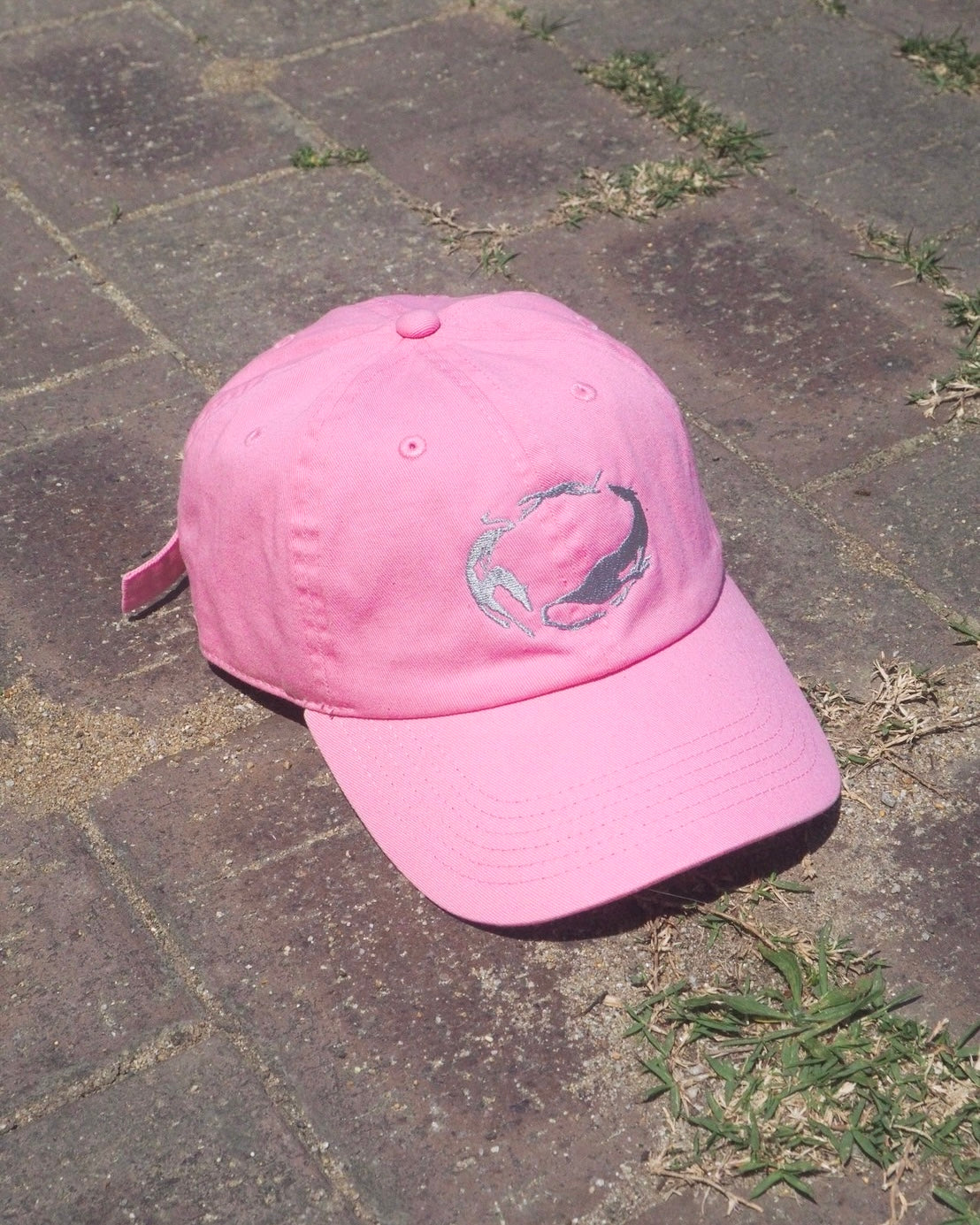 5/22 (Fri) 22:00~ circle dogs cap