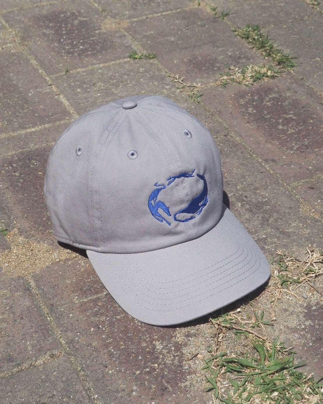 5/22 (Fri) 22:00~ circle dogs cap