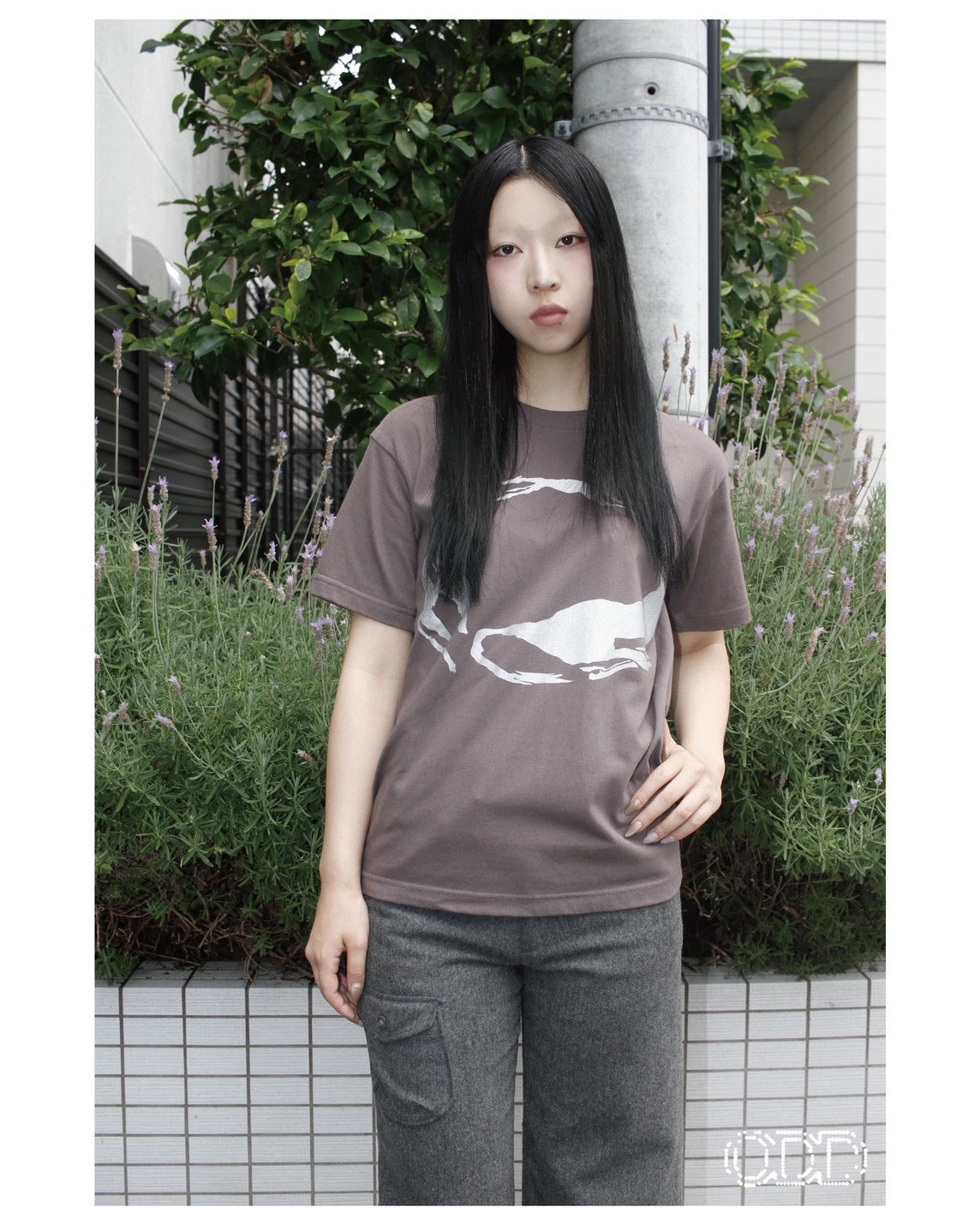 Circle Dogs Tee
