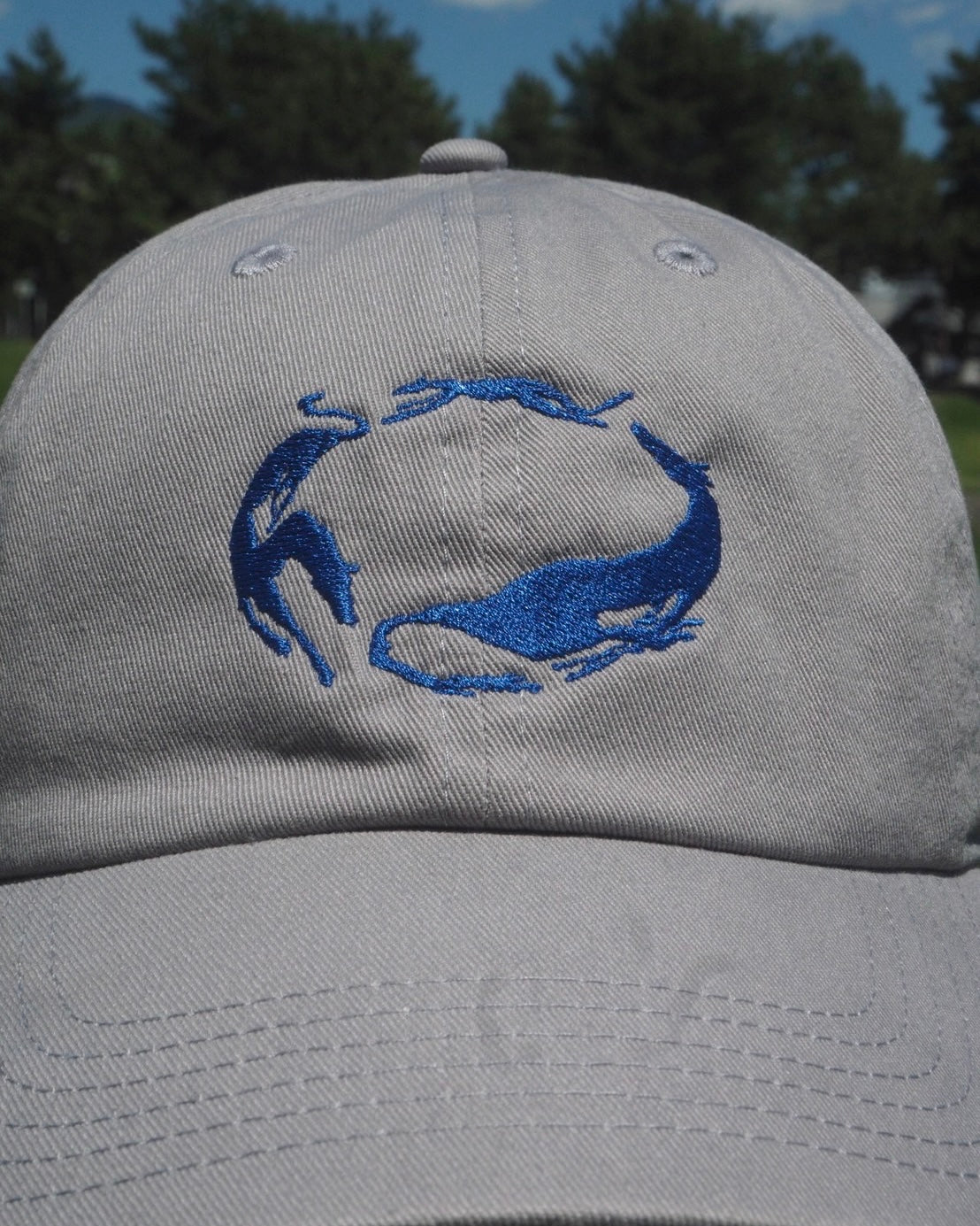5/22 (Fri) 22:00~ circle dogs cap
