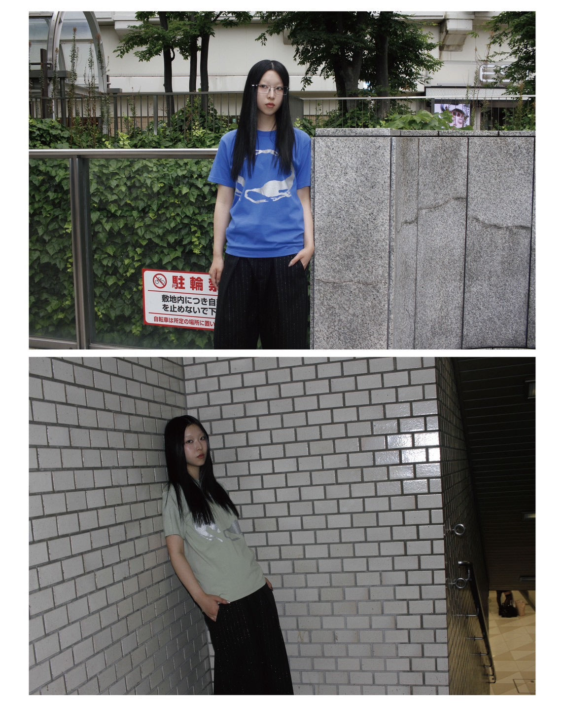 Circle Dogs Tee