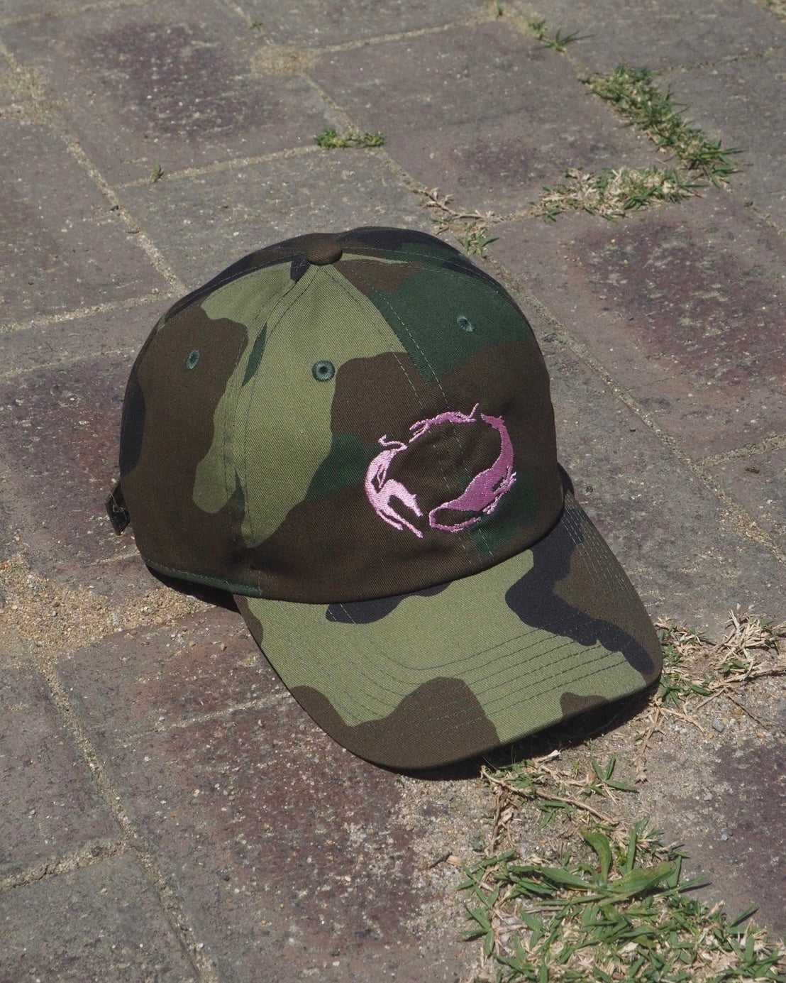 5/22 (Fri) 22:00~ circle dogs cap